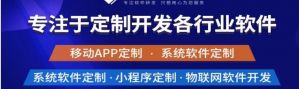 揭示專業(yè)軟件開(kāi)發(fā)和定制公司的需求。</a>